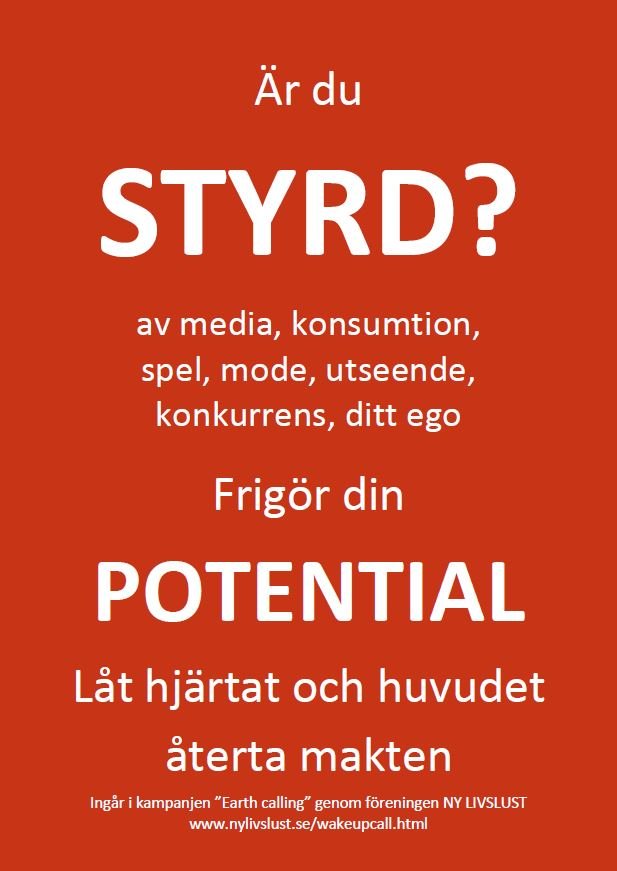 Är du styrd