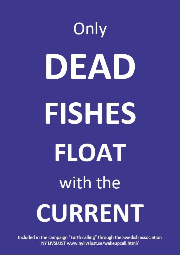 Only dead fishes