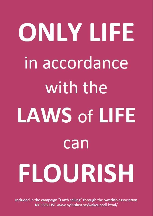 Only life in accordance