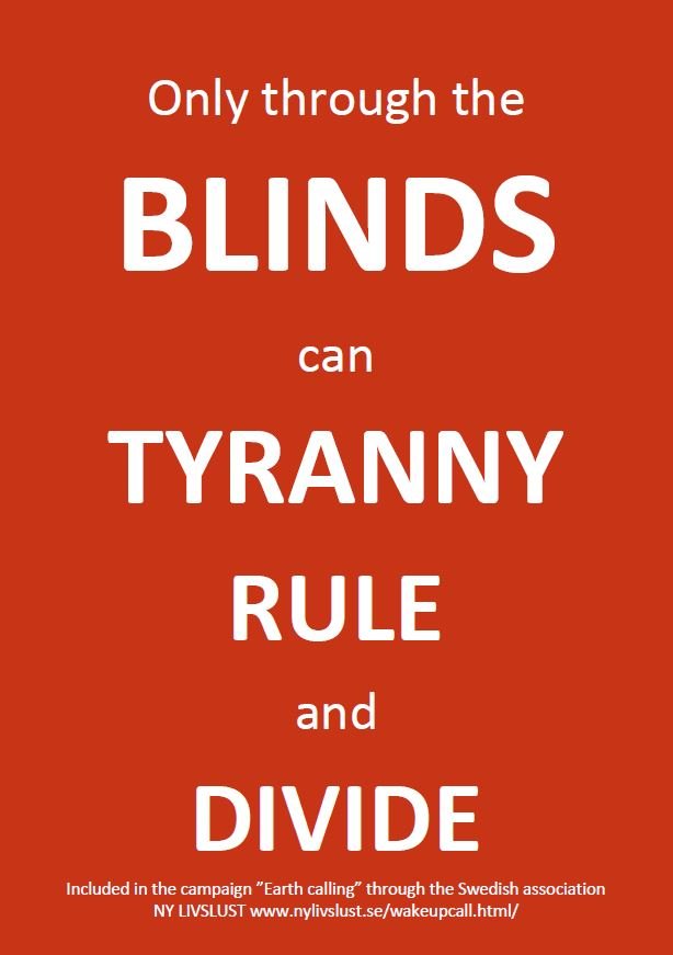 Only through the blinds