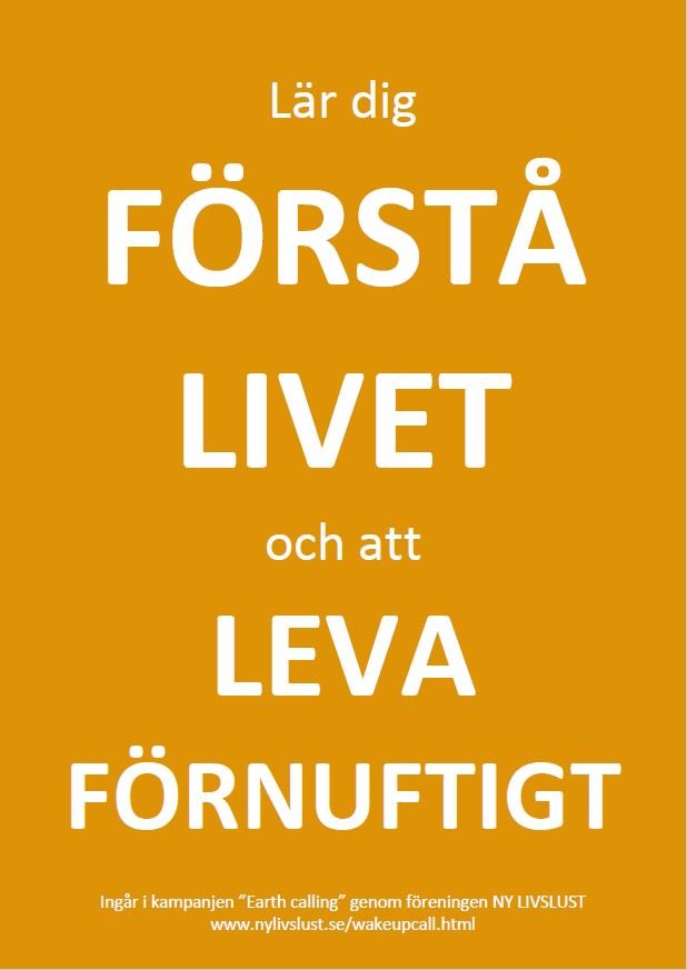 Lär dig förstå livet