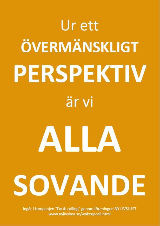 Ur ett övermänskligt perspektiv